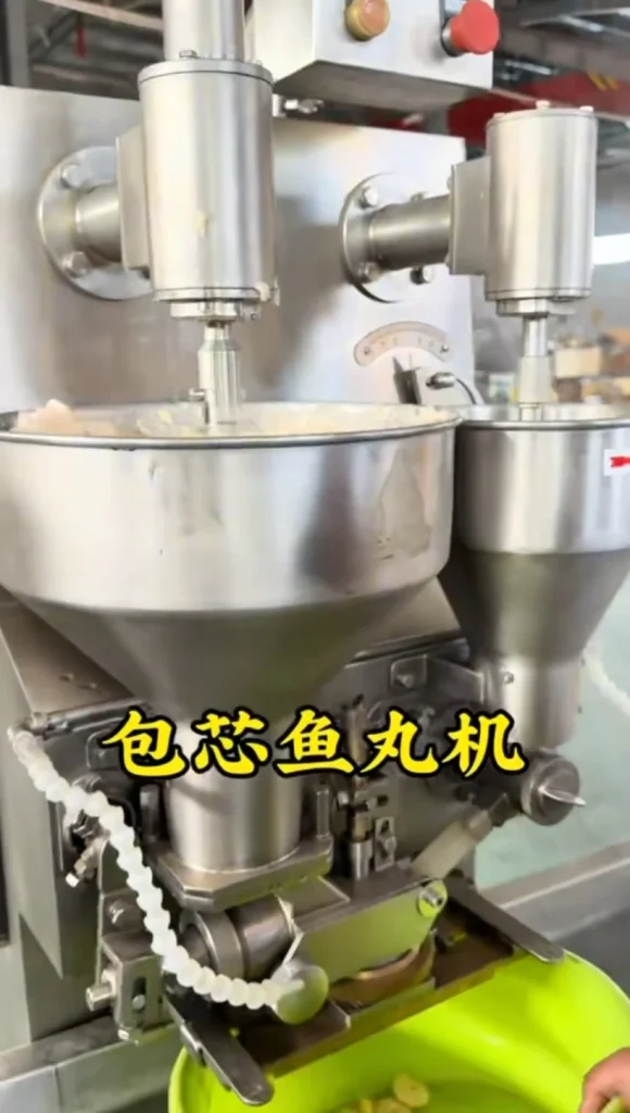 vacuum packaging and quick freezer